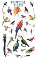 Tropical Birds Poster edito da Dover Publications Inc.