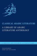 Classical Arabic Literature di Geert Jan van Gelder edito da New York University Press