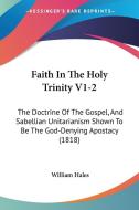 Faith in the Holy Trinity V1-2: The Doctrine of the Gospel, and Sabellian Unitarianism Shown to Be the God-Denying Apostacy (1818) di William Hales edito da Kessinger Publishing