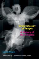 Grammatology of Images: A History of the A-Visible di Sigrid Weigel edito da FORDHAM UNIV PR