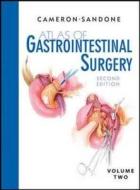 Cameron, J: Atlas of Gastrointestinal Surgery, 2/e di John Cameron edito da McGraw-Hill Education