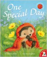 One Special Day di Christina M. Butler edito da Little Tiger Press Group