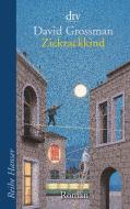 Zickzackkind di David Grossman edito da dtv Verlagsgesellschaft