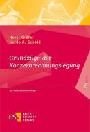 Grundzüge der Konzernrechnungslegung di Horst Gräfer, Guido A. Scheld edito da Schmidt, Erich Verlag