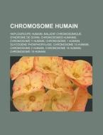 Chromosome Humain: Haplogroupe Humain, Maladie Chromosomique, Syndrome de Down, Chromosomes Humains, Chromosome y Humain, Chromosome 1 Hu di Source Wikipedia edito da Books LLC, Wiki Series