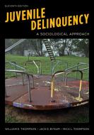 Juvenile Delinquency A Sociolpb di William E. Thompson, Jack E. Bynum, Mica L. Thompson edito da Rowman & Littlefield
