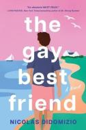 The Gay Best Friend di Nicolas Didomizio edito da SOURCEBOOKS CASABLANCA