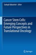 Cancer Stem Cells: Emerging Concepts and Future Perspectives in Translational Oncology edito da Springer-Verlag GmbH