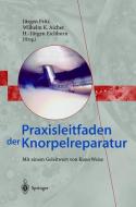 Praxisleitfaden der Knorpelreparatur di FRITZ  J  RGEN edito da Springer Berlin Heidelberg