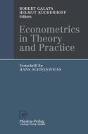 Econometrics in Theory and Practice edito da Physica-Verlag HD