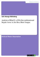 Analysis of Rhm51, a DNA Recombinational Repair Gene in the  Rice Blast Fungus di Sali Atanga Ndindeng edito da GRIN Verlag