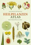 Der große Heilpflanzen-Atlas di Hermann Adolph Köhler edito da Favoritenpresse