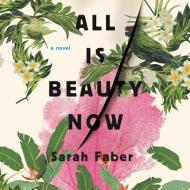All Is Beauty Now di Sarah Faber edito da Little Brown and Company