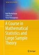 A Course in Mathematical Statistics and Large Sample Theory di Rabi Bhattacharya, Lizhen Lin, Victor Patrangenaru edito da Springer-Verlag GmbH