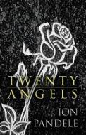 Twenty Angels di Ion Pandele edito da America Star Books