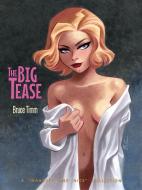 The Big Tease: A Naughty and Nice Collection edito da FLESK PUBN