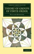 Theory of Groups of Finite Order di William Burnside edito da Cambridge University Press