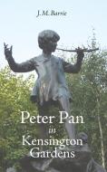 Peter Pan In Kensington Gardens di James Matthew Barrie edito da Stonewell Press