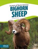 Bighorn Sheep di Tammy Gagne edito da NORTH STAR ED INC