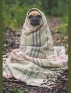 COMPOSITION BK - SNUG PUG di Spring Hill Stationery edito da INDEPENDENTLY PUBLISHED