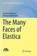 The Many Faces of Elastica di Mariana Hadzhilazova, Ivaïlo M. Mladenov edito da Springer International Publishing