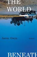 The World Beneath di Aaron Gwyn edito da W W NORTON & CO