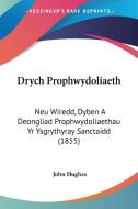 Drych Prophwydoliaeth: Neu Wiredd, Dyben a Deongliad Prophwydoliaethau Yr Ysgrythyray Sanctaidd (1855) di John Hughes edito da Kessinger Publishing