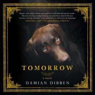 Tomorrow di Damian Dibben edito da Hanover Square Press