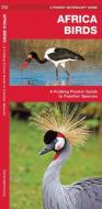 African Birds: A Folding Pocket Guide to Familiar Species di James Kavanagh edito da Waterford Press