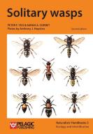 Solitary wasps di Peter F Yeo edito da Pelagic Publishing