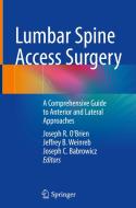 Lumbar Spine Access Surgery edito da Springer International Publishing