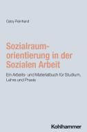 Sozialraumorientierung in der Sozialen Arbeit di Gaby Reinhard edito da Kohlhammer W.