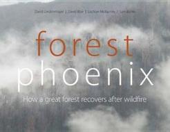 Lindenmayer, D:  Forest Phoenix di David Lindenmayer edito da CSIRO Publishing