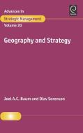 Geography and Strategy edito da Emerald Group Publishing Limited