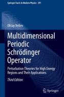 Multidimensional Periodic Schrödinger Operator di Oktay Veliev edito da Springer International Publishing
