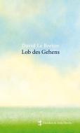 Lob des Gehens di David LeBreton edito da Matthes & Seitz Verlag