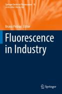 Fluorescence in Industry edito da Springer International Publishing