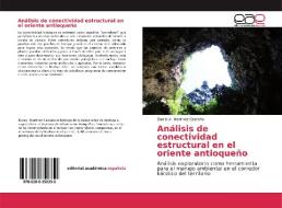 Análisis de conectividad estructural en el oriente antioqueño di Daniel A. Martínez Castaño edito da Editorial Académica Española