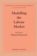 Modelling the Labour Market edito da Springer Netherlands