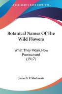 Botanical Names of the Wild Flowers: What They Mean, How Pronounced (1917) di James S. F. MacKenzie edito da Kessinger Publishing