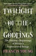 Twilight Of The Godlings di Francis Young edito da Cambridge University Press