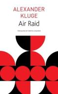 AIR RAID di Alexander Kluge, Martin Chalmers, W. G. Sebald edito da CHICAGO UNIVERSITY PRESS