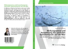 Wirkungsweise und Auswirkung des zentralen Speicherkanals auf die Mur di Eveline Maria Windbacher edito da AV Akademikerverlag