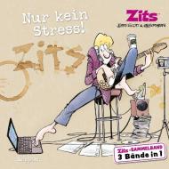 Zits Sammelband: Nur kein Stress! di Jerry Scott edito da Lappan Verlag