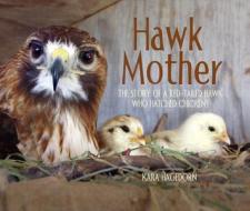 Hawk Mother: The Story of a Red-Tailed Hawk Who Hatched Chickens di Kara Hagedorn edito da WEB OF LIFE CHILDRENS BOOKS