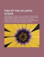 Fish Of The Atlantic Ocean: Sheepshead, di Books Llc edito da Books LLC, Wiki Series