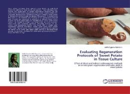 Evaluating Regeneration Protocols of Sweet Potato in Tissue Culture di Judith Oggema-Natabona edito da LAP Lambert Academic Publishing