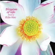 Blossom of Life di Hila Mai edito da Contento de Semrik