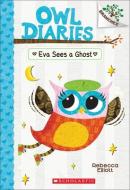 Eva Sees a Ghost di Rebecca Elliott edito da TURTLEBACK BOOKS