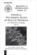 Chemical Weathering Rates of Silicate Minerals edito da deGruyter Boston